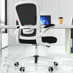 Office Chair, Ergonomic Desk Chair with Adjustable Lumbar Support & Seat Height, High Back Mesh Computer Chair with Flip-up Armrests Task Chairs (Modern, White)