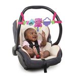 Bright Starts Infant Car Seats