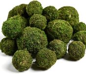 Usmola 18pcs Fake Moss Balls, 6pcs 