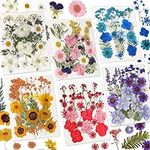CONVELIFE Dried Flowers for Resin, 