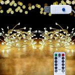 HANNAHONG 100 LED Fairy String Light with Remote for Wreath/Garland,Mantel,Christmas Tree,Dorm,Bottel/Jar Decor,Bright Dimmable USB Plug in Silver Wire Twinkle Lights,Waterproof(2 Pack,Warm White)