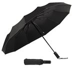 AUSDIN Folding Umbrellas-Windproof Umbrellas for Rain-Automatic Compact Umbrellas for Travel-Reinforced 10 Fiberglass Ribs Strong Enough for Heavy Rain or Snow-Double Vinyl layers UV Protection