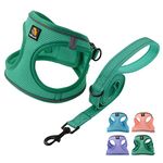 BELLA & PAL Dog Harness and Leash Set, Step-in Small Dog Harness for Extra Small Dogs, Soft Mesh Breathable Harness with Reflective Strip, Puppy Harness No Pull Harness for Small Dogs, Green, XS