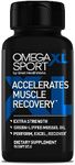 OmegaXL Sport Extra Strength Muscle Recovery Supplement and Respiratory Support Supplement - Improves DOMS and ROM, Clinically Supported Green-Lipped Mussel Oil (60 Softgels)