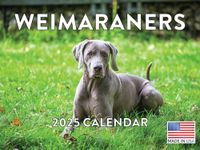 Weimaraner