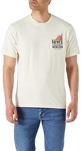 Levi's Men's SS Relaxed Fit Tee T-Shirt, Boxtab Logo, Bi Fresh Undyed Greige, L