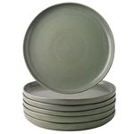 Crate And Barrel Dinner Plates