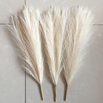 SATYAM KRAFT 3 Pcs Faux Pampas Small Fluffy Artificial Flowers Fake Flower for Home, Office,Bedroom Decoration, Diwali Decor, Festivals, Occasion (Without Vase Pot) (Off White)