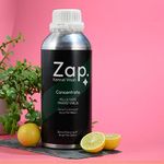 Planet Pets Zap Kennel Wash/Pet Floor Cleaner/ Removes Bad Odour And Kills Parvo Virus - 1 Litre(Wash)