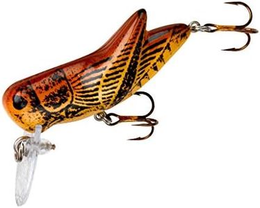 Rebel Lure