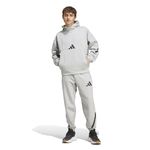 Adidas Mens Z.N.E. Pants,Medium Grey Heather,XL