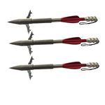 JIEXI HWYP 5.3 inches Stainless Steel Crossbow Slingshot Fishing Arrow 2 Blades 4 colors Pack of 6 (red)