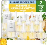 DERDUFT Plug in Scented Oil Starter