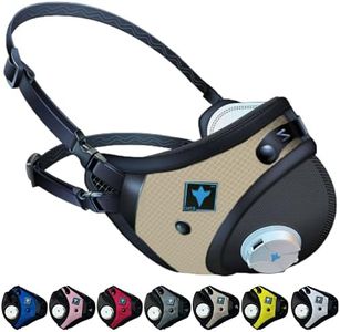RZ Mask RZ