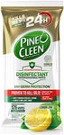 Pine O Cleen 24H Germ Protection Di