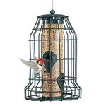 FAMKIT Squirrel Proof Bird Feeder,Caged Tube Feeder,Heavy Duty Squirrel Resistant Bird Nut Feeder,Hanging Wild Bird Seed Feeder,with 4 Perches,for Outside Feeders