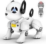 SUPIREO Remote Control Robot Dog To