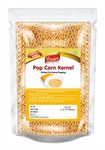 Desire Popcorn Kernel Seeds 500 Gram | Big Size Gourmet Popcorn Kernels | High Expansion A Grade Makkai | Imported for Premium Quality | Perfect for Home Popcorn Makers.