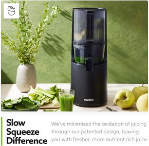 Hurom H-200 Slow Juicer – Silver, Easy Clean Cold Press