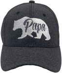 Papa Bear Hat Funny Cool Fathers Day Grizzly Baseball Cap