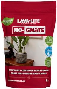 Lava-Lite