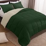 Basic Beyond Queen Comforter Set - Fluffy Comforter Queen Set for All Seasons - Reversible Forest Green Queen Comforter Set for Mens - 3 Pieces (1 Comforter + 2 Pillow Shams) - Forest Green/Ivory