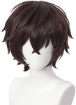 Aicos Anime Cosplay Wig Brown Hair Wig for Man, Brown Layer Wig for Cosplay Show + Wig Cap