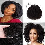 Saga Queen Brazilian Afro Kinky Curly Clip In Hair Extensions 9pcs 20clips 120g/pck 4B 4C Brazilian Virgin Human Hair Clip Ins (1 bundle 8inch, natural black)