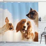 Ambesonne Funny Shower Curtain, Cat and Dogs Domestic Home Pets Friends Cute Hilarious Expressions Sky Clouds Collage, Fabric Bathroom Decor Set with Hooks, 70 inches, Multicolor