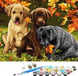 DIY Paint by Numbers for Adults Beginner, ABEUTY Dogs and Maple Leaf 16x20 inches Number Painting Art Therapy Adult Craft kit