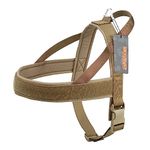 EXCELLENT ELITE SPANKER No-Pull Dog Harness Soft Padded Adjustable Nylon Pet Harness for Training Running(COB-XS)