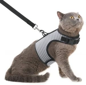PUPTECK Cat Harness and Leash - Escape Proof for Walking, Reflective and Breathable Cat Vest Harness with Safety Buckle, Easy Control and Adjustable for Small Medium Large Cats, Puppies