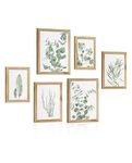 Botanical Plant Wall Art Prints: Sage Green Eucalyptus Bathroom Decor Boho Pictures for Bedroom Plant Leaves Poster Set Framed 6 Piece Living Room Home Decoration