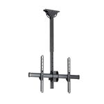 StarTech.com TV Ceiling Mount, Hanging Single Screen Vesa Mount for 32”-75" TVs/Displays - Height Adjustable Telescopic Pole