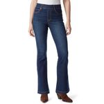 Gloria Vanderbilt Women's Shape Effect Pull on High Rise Flare Jean, Asheboro - Whiskers, 10