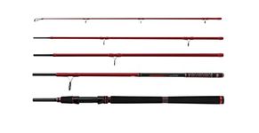 Inshore Spinning Rod