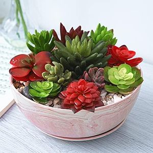 G EPGarden