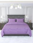 FASSCETE 300 TC Super Soft Flannel Warm Winter Solid Plain Soft and Cozy Bedsheet 90x100 with 2 Pillow Covers. (Purple)