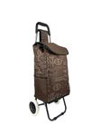 EB EVER BEST-Series Of Bags Foldable Shopping Trolley Bag (Chocolate Brown)