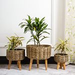 DecorTwist Handmade Seagrass Jute Planter (6.2" x 8.2" x 10.2" Height) Set of 3 Natural Plant Basket with Stand for Living Room, Balcony, Garden, Indoor Outdoor, Flower Pots Cover, Home Decor