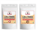 foodfrillz GMS Powder & CMC Powder for Ice Cream | for Ice Creams | Food Grade - (100 g x 2)