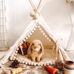 MINICAMP Rabbit Hideaway - Cozy Small Dog Bed - Stylish Cat Teepee - Cute Tent for Bunny, Puppy, Guinea Pig and Small Animals - Made with 100% Cotton, Hypoallergenic - Pet Accessories for Indoor