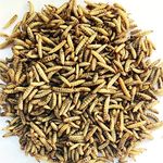 Superpet Dried Calciworms Calci Worms Similar To Mealworms For Birds Fish And Many More (5Kg)