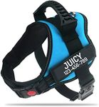 Personalized No Pull Dog Harness wi