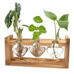 Plant Terrarium Wooden Stand,Garden and Home Plants Hydroponic Air Planter Bulbs Glass Vase,Flowers and Indoor Plants Tabletop Office Decoration,Presents for Plant Lovers- 3 Love Bulb Vase