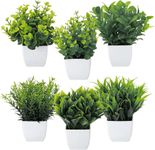 Dekorly Artificial Potted Plants, 6 Pack Artificial Plastic Eucalyptus Plants Small Indoor Potted Houseplants, Small Faux Plants for Home Decor Bathroom Office Farmhouse (Set 0F 6)