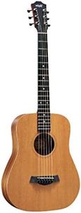 Taylor BT2
