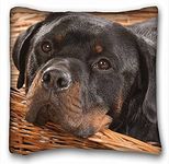 My Honey Pillow Pillow Cover dog dog rottweiler 18 in*18 Twin Sides by My Honey Pillow