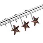 AGPtek Star Decorative Shower Curtain Hooks, set of 12