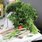 SeedsUA: Seeds Sweet Indoor Leaf Italian Parsley Non GMO Heiroom Vegetable for Planting